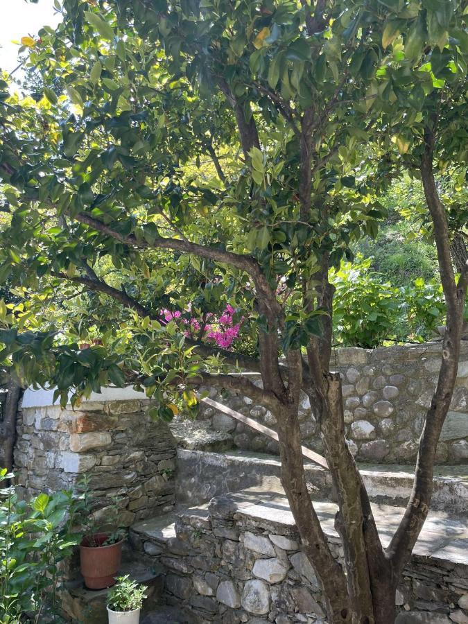 Archontiko Iatridis Hotel Mouresi Luaran gambar