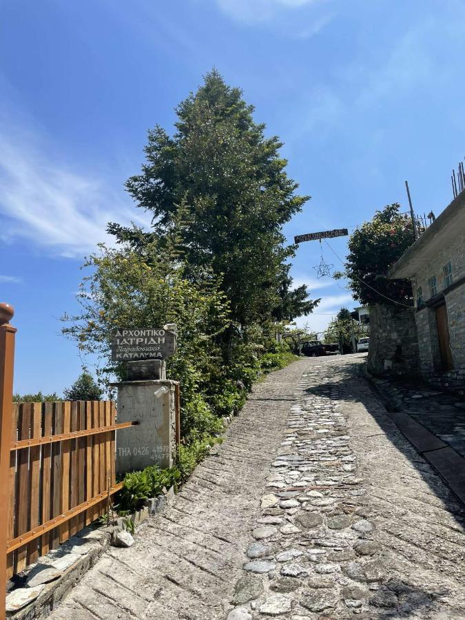 Archontiko Iatridis Hotel Mouresi Luaran gambar