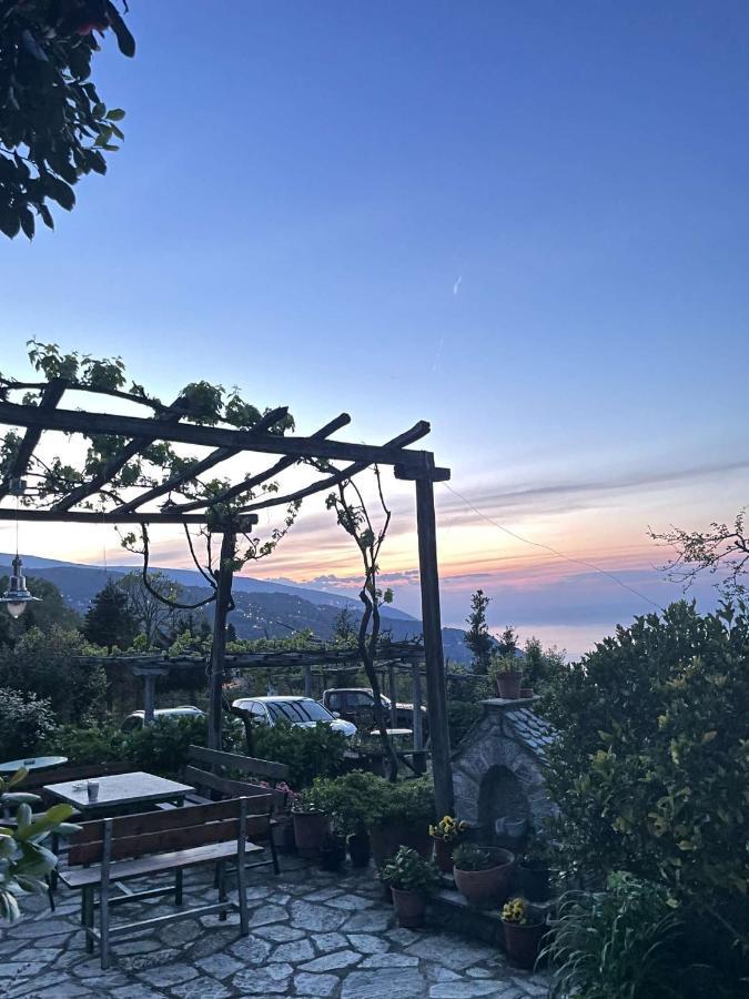 Archontiko Iatridis Hotel Mouresi Luaran gambar