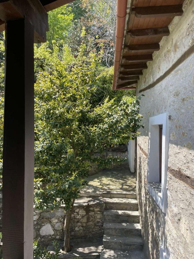Archontiko Iatridis Hotel Mouresi Luaran gambar