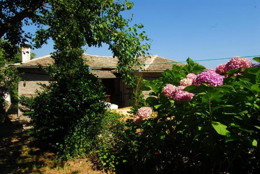 Archontiko Iatridis Hotel Mouresi Luaran gambar
