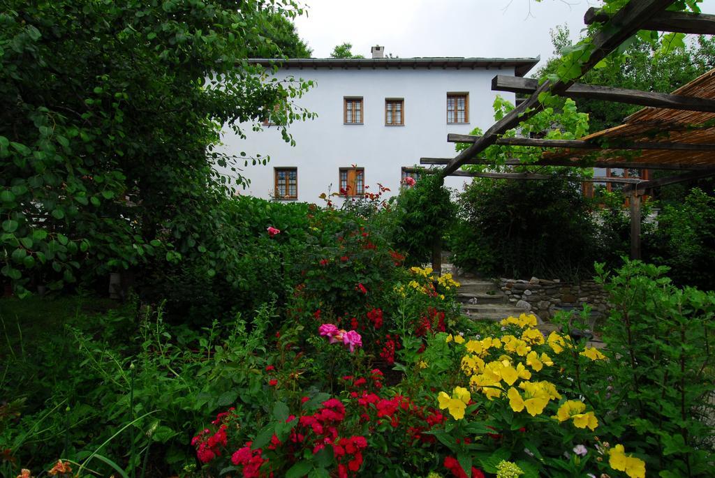 Archontiko Iatridis Hotel Mouresi Luaran gambar