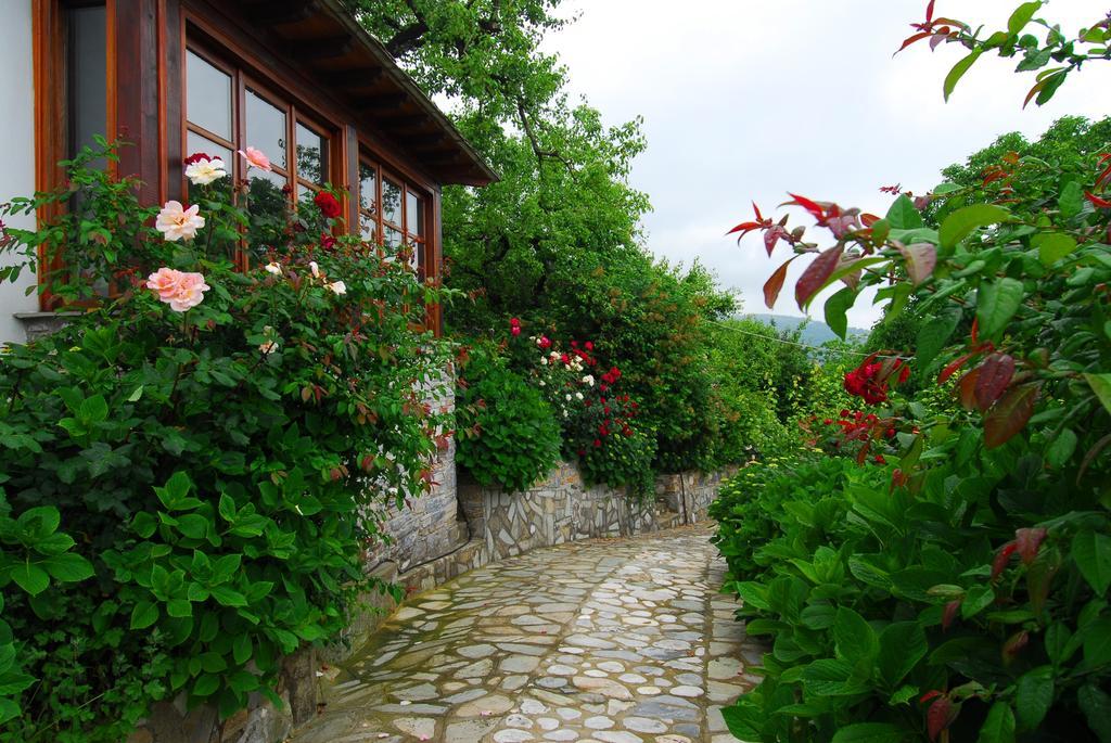 Archontiko Iatridis Hotel Mouresi Luaran gambar