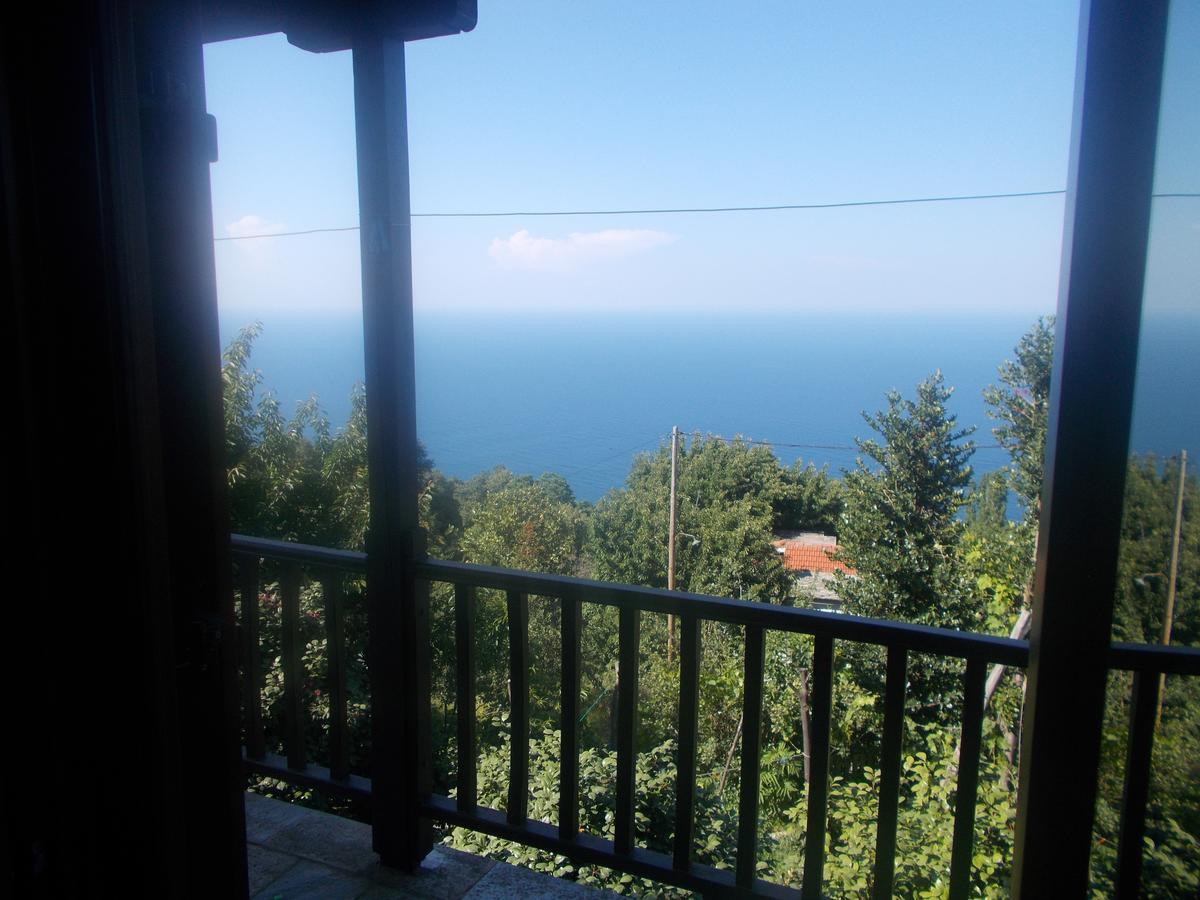 Archontiko Iatridis Hotel Mouresi Luaran gambar