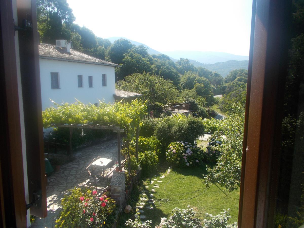 Archontiko Iatridis Hotel Mouresi Luaran gambar