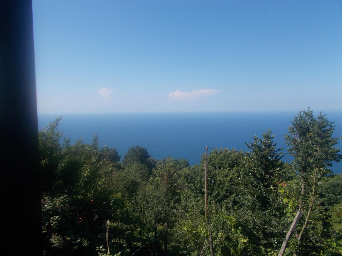 Archontiko Iatridis Hotel Mouresi Luaran gambar