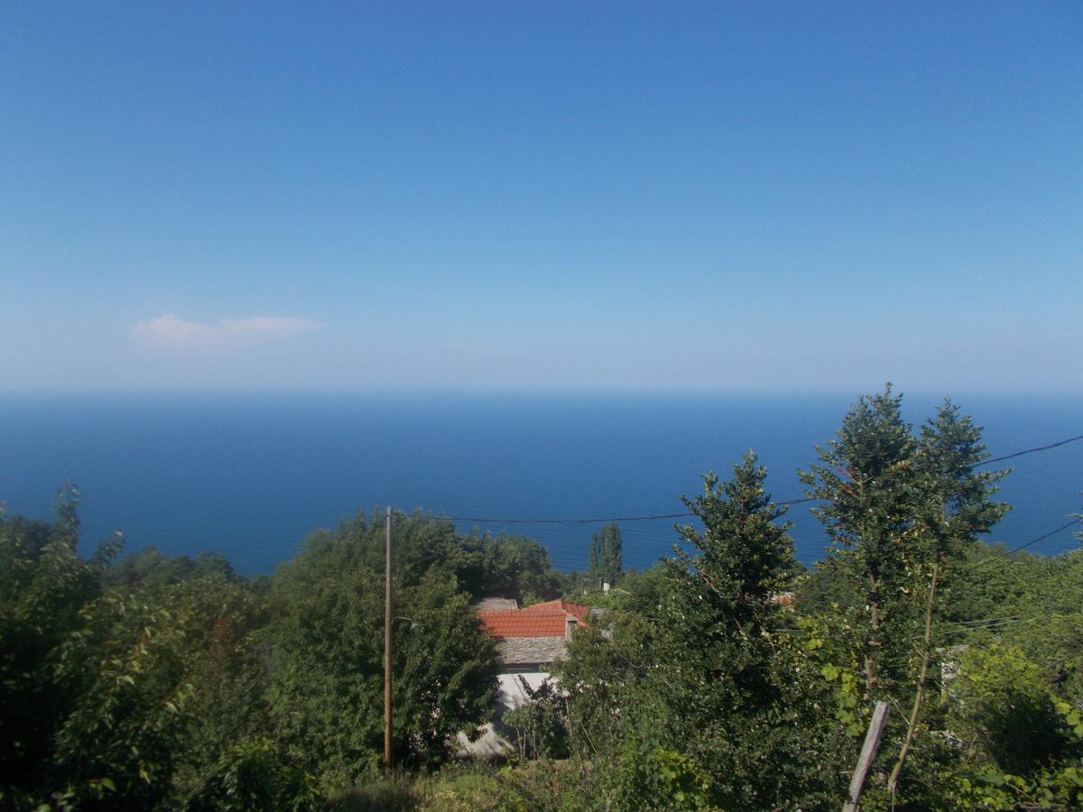 Archontiko Iatridis Hotel Mouresi Luaran gambar