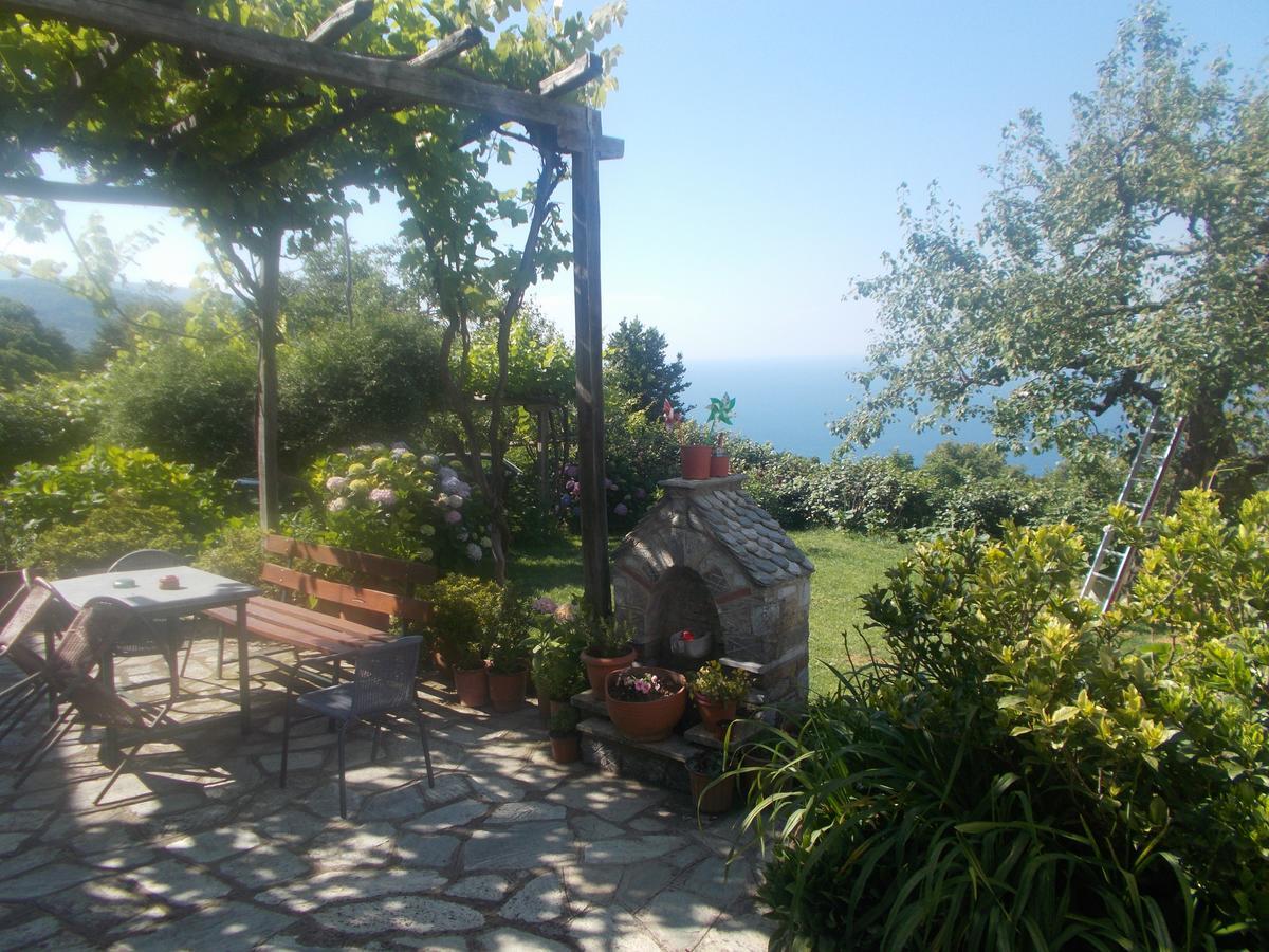 Archontiko Iatridis Hotel Mouresi Luaran gambar