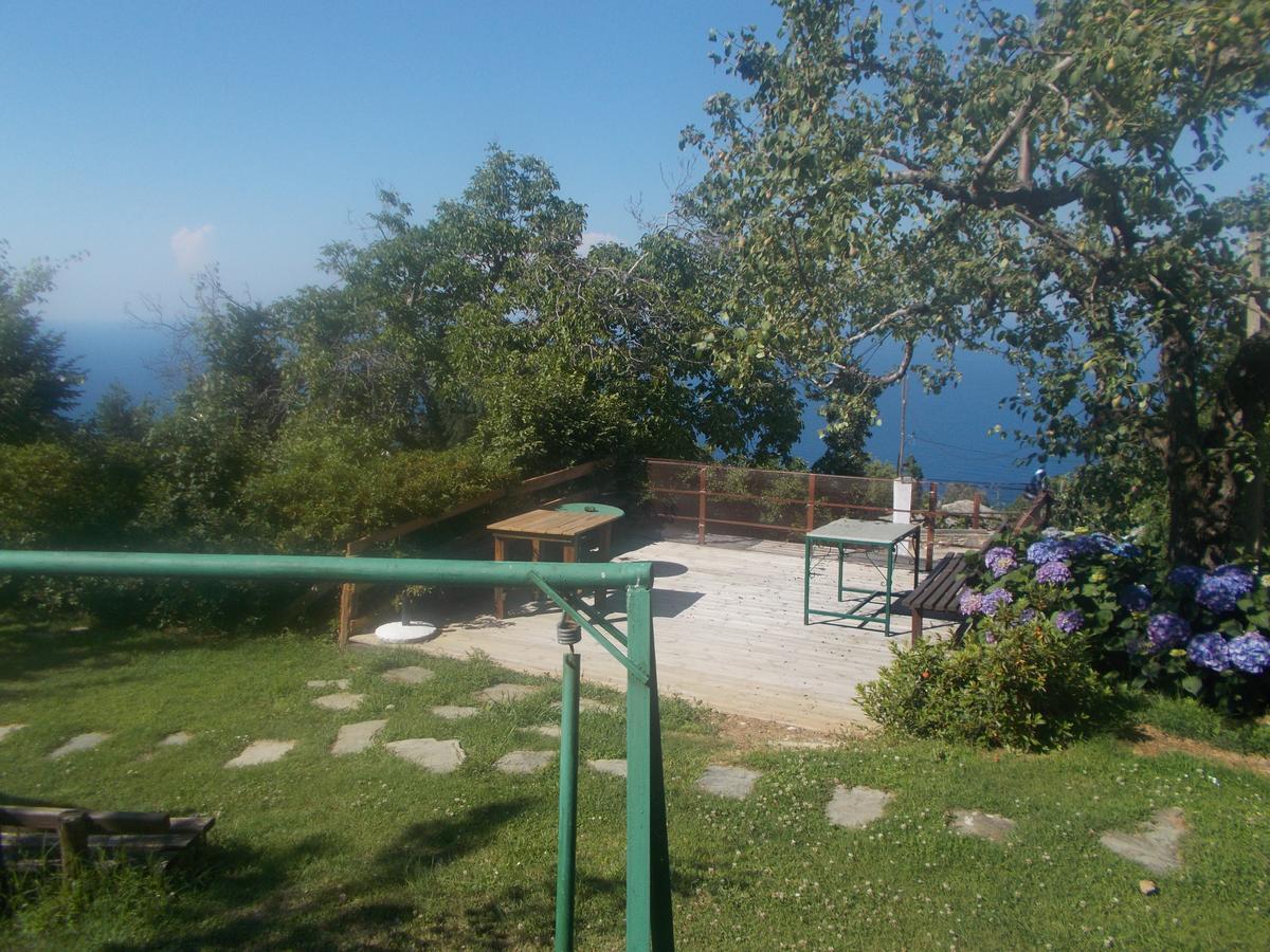 Archontiko Iatridis Hotel Mouresi Luaran gambar