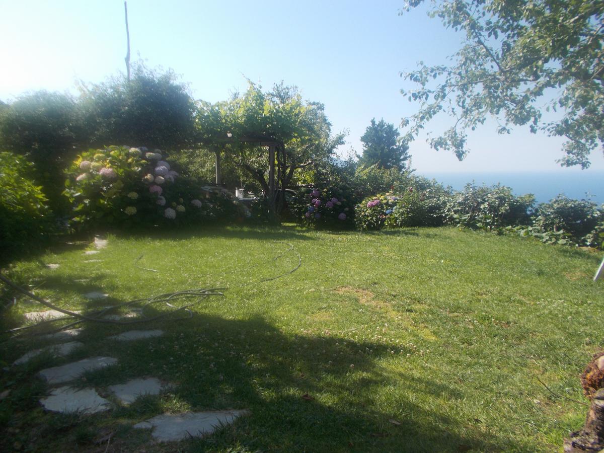 Archontiko Iatridis Hotel Mouresi Luaran gambar