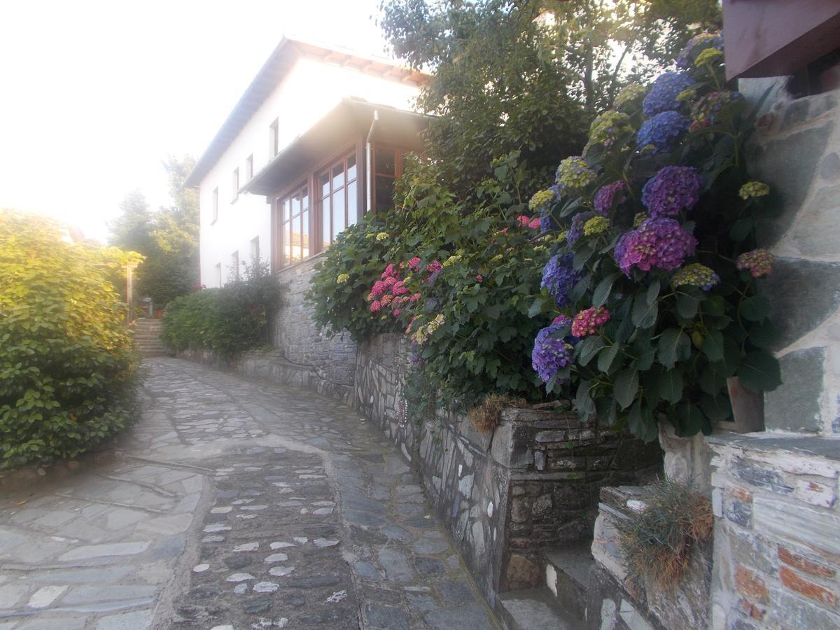 Archontiko Iatridis Hotel Mouresi Luaran gambar
