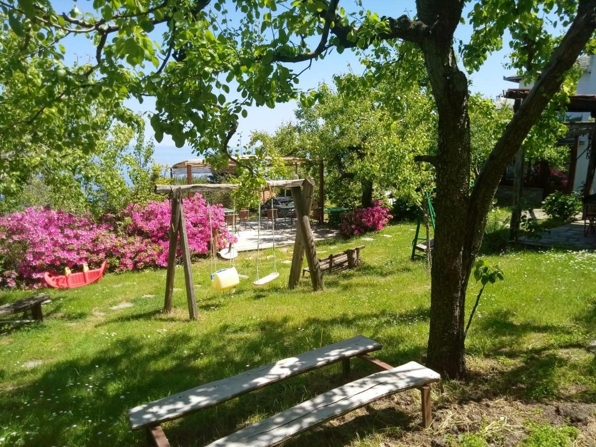 Archontiko Iatridis Hotel Mouresi Luaran gambar