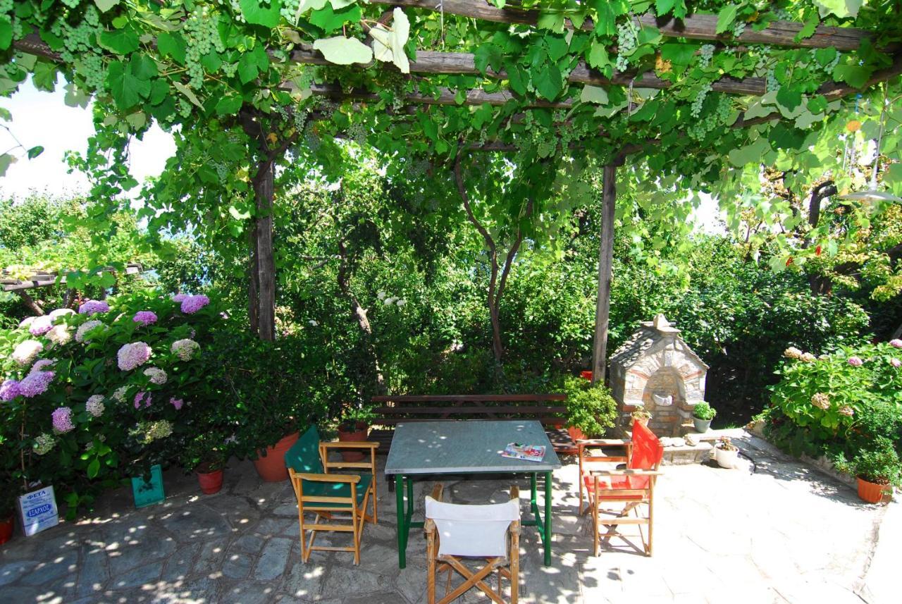 Archontiko Iatridis Hotel Mouresi Luaran gambar